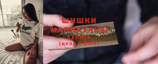 дмт Богородицк