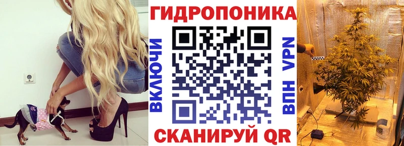 Шишки марихуана OG Kush  мориарти клад  Ялта 